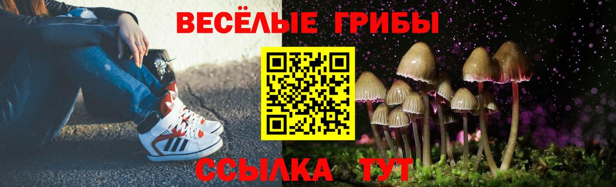 Галлюциногенные грибы Magic Shrooms  Вход с VPN  магазин  наркотиков  Арсеньев 